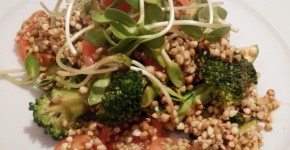 raw food recipe