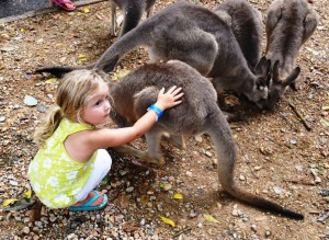 To rearons to live in Australia
