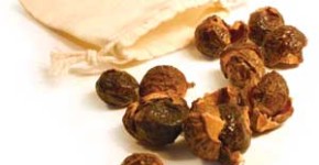 Ecological washing, Soap Nuts