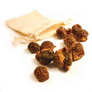 Ecological washing, Soap Nuts